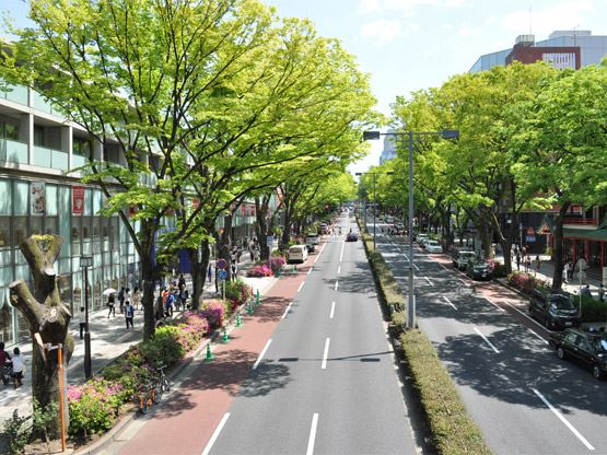 Aoyama Palacio Tower