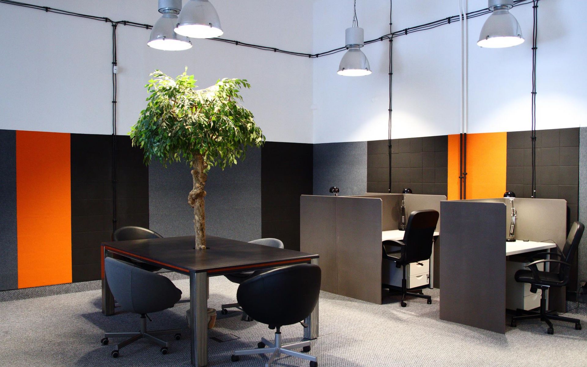 Business Lab photo 12