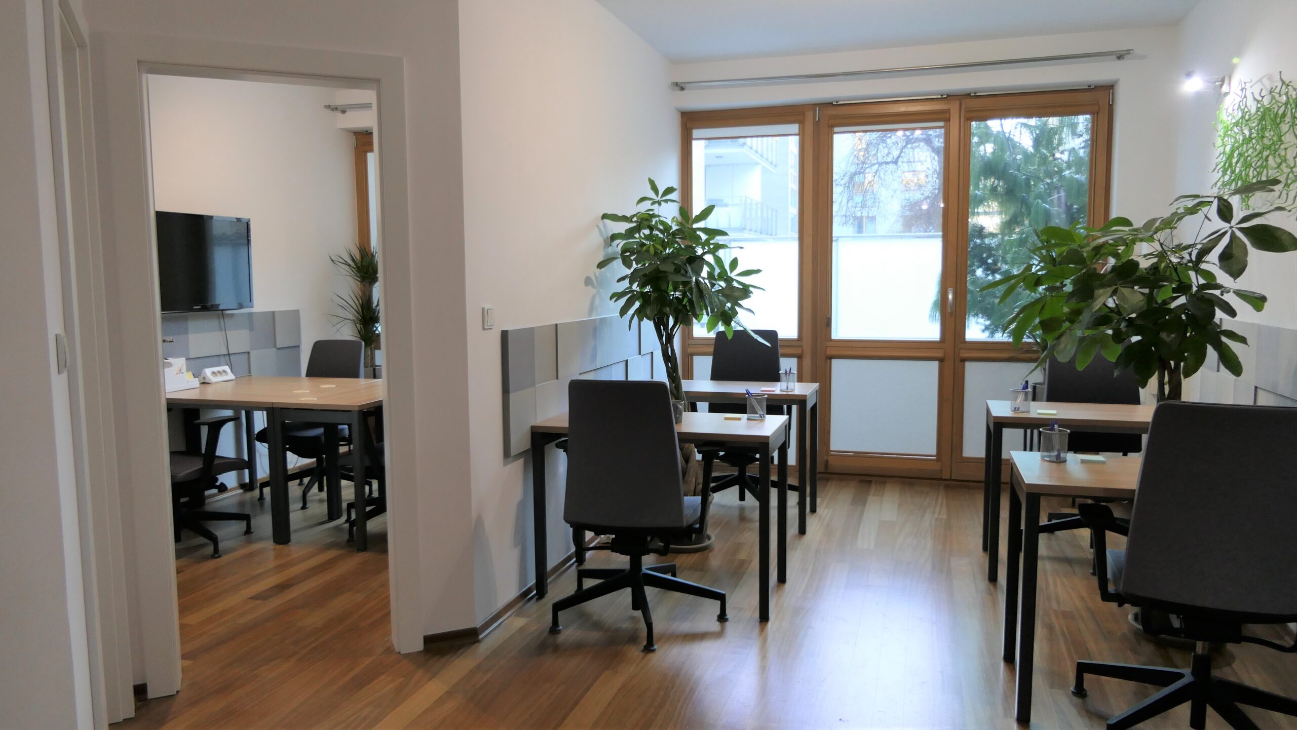 Narbutta 83 photo 11