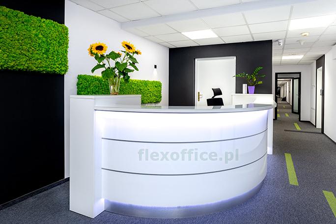 Flex Office photo 5