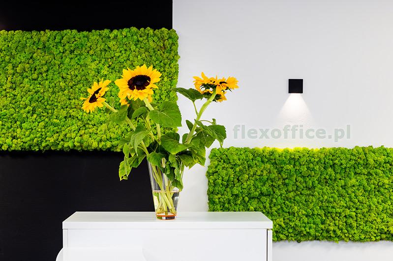 Flex Office photo 6