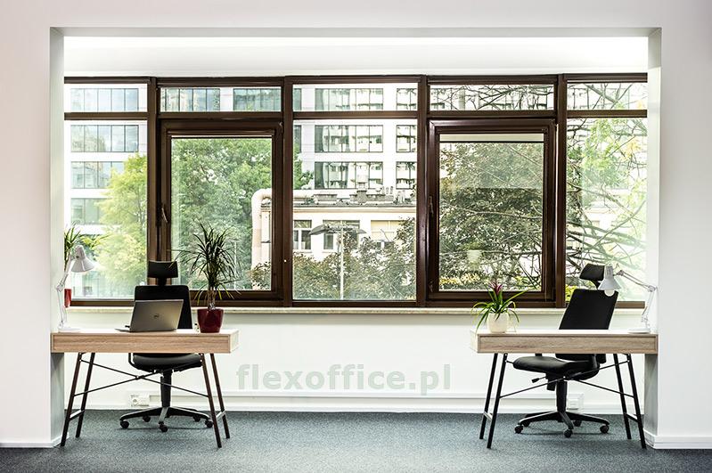 Flex Office photo 3