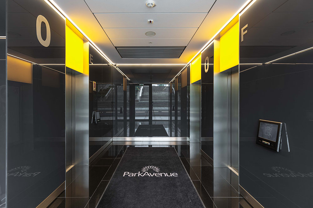 Park Avenue photo 8