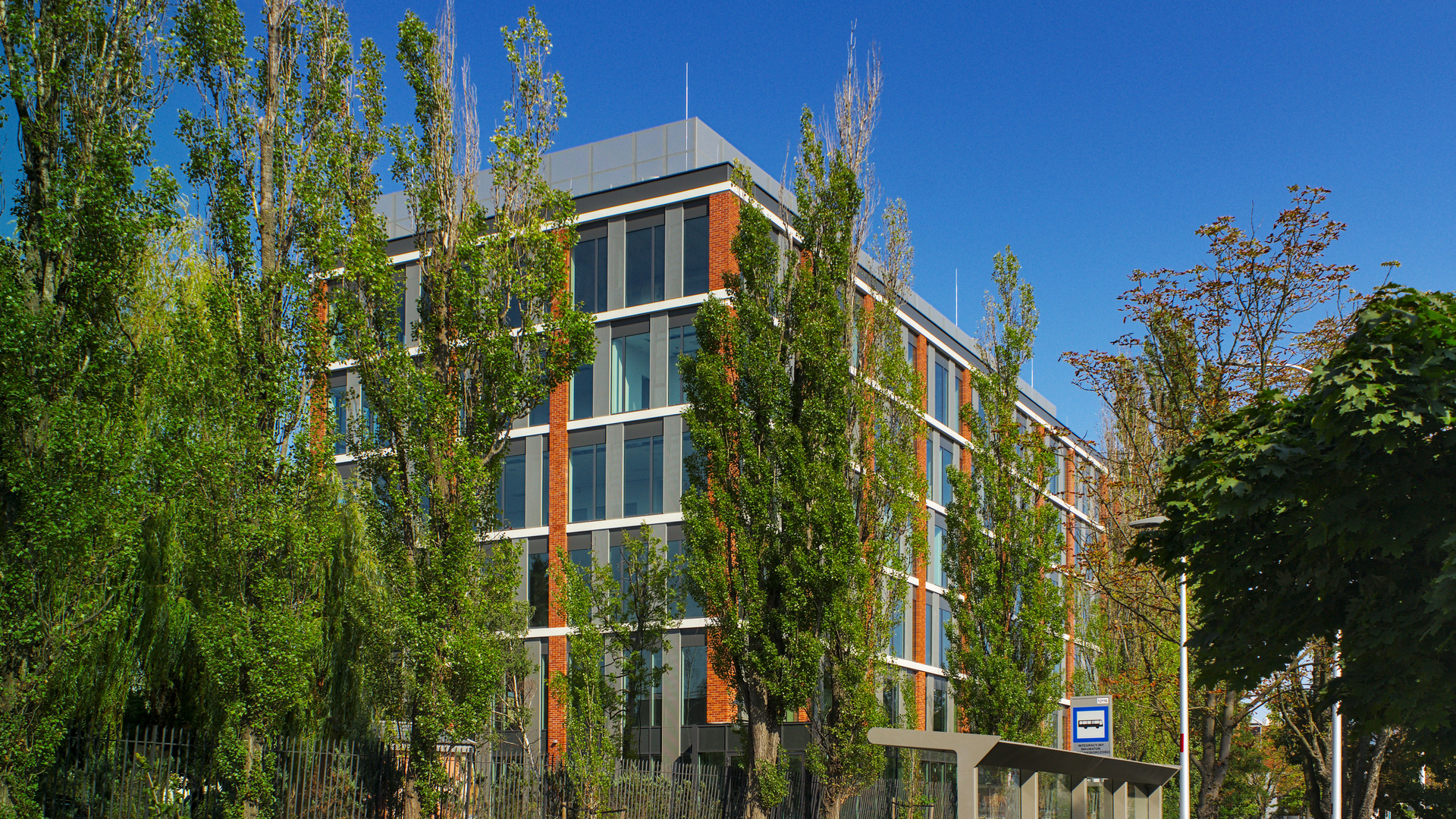 Strzegomska Park photo 10