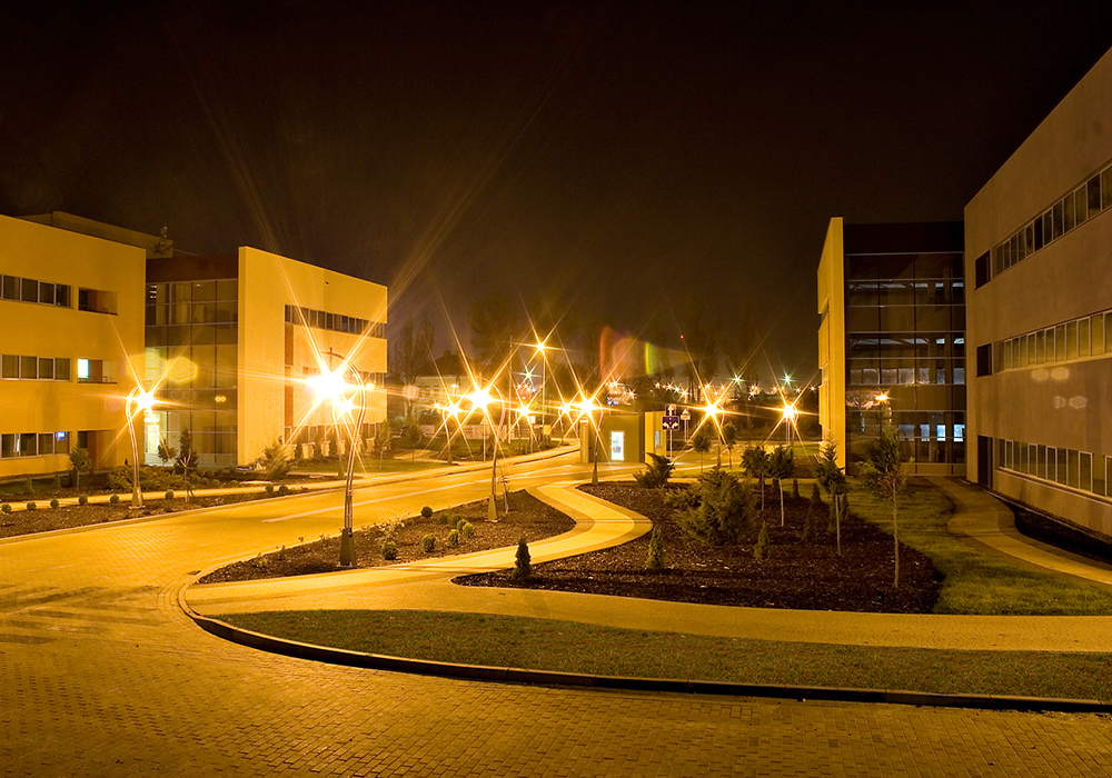 Wołowska Park photo 4
