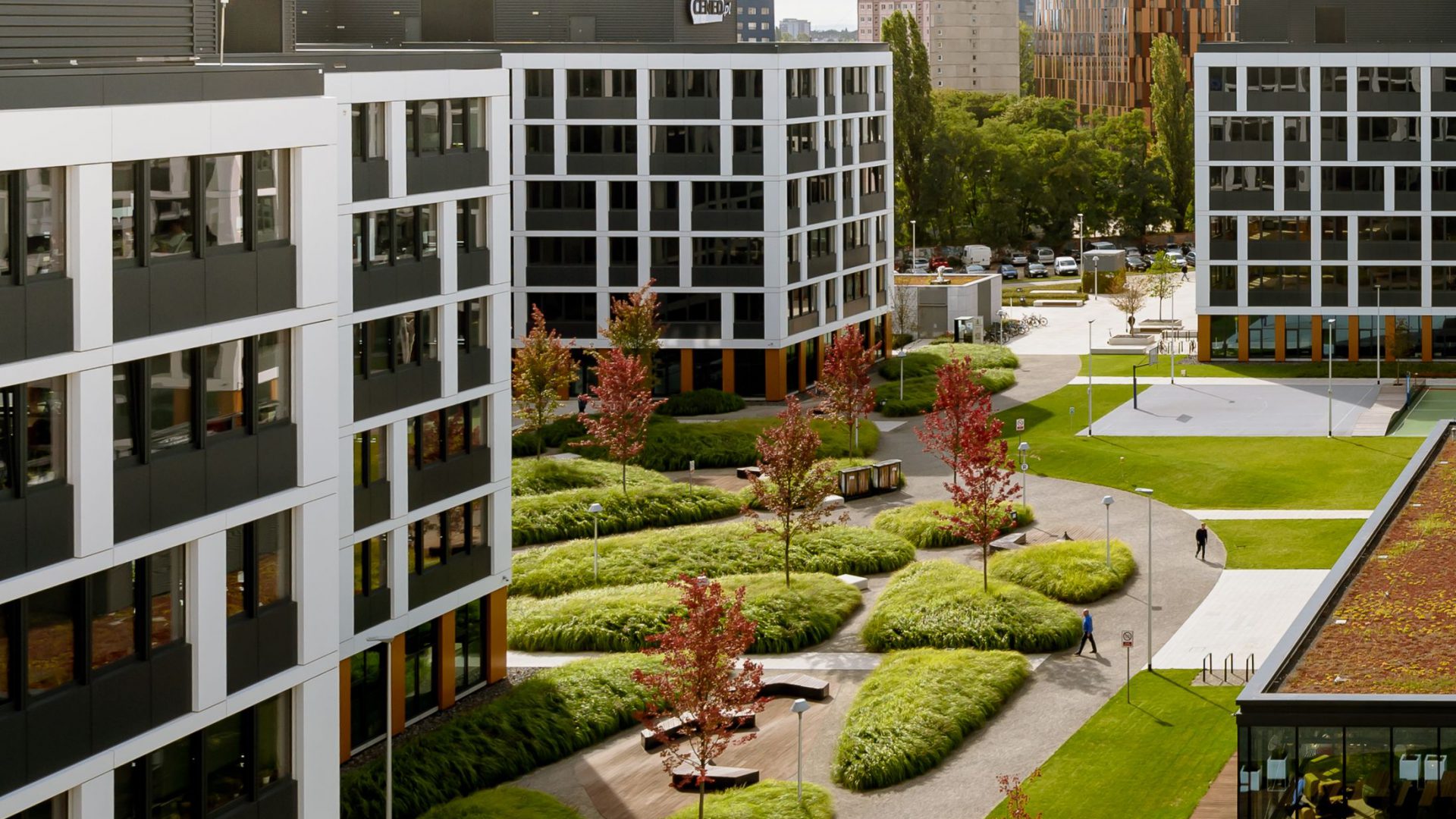 Business Garden Wrocław photo 5