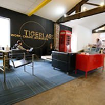 Tiger Labs Nassau photo 8