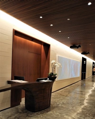 Financial District  photo 6