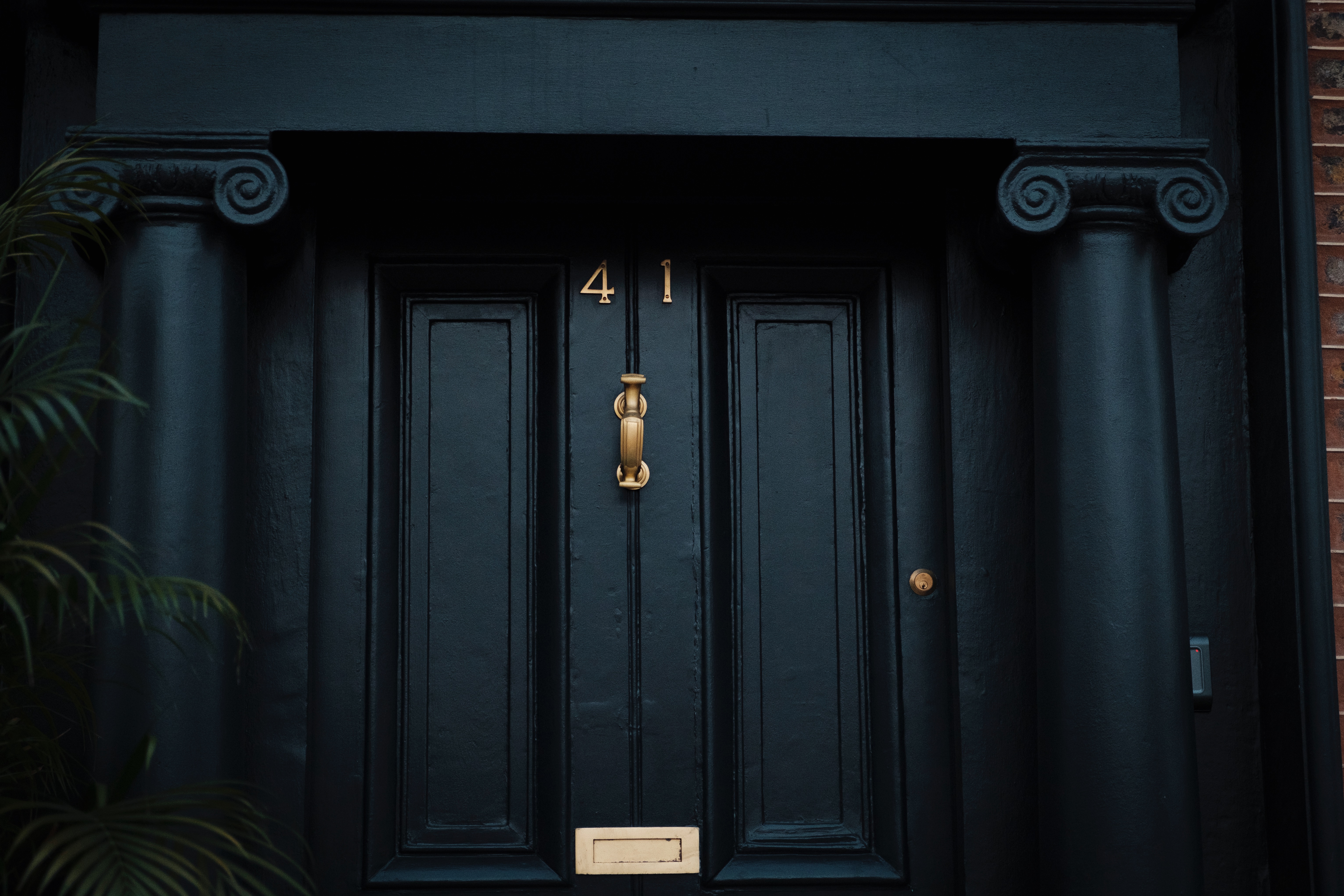 Grafter Forty-One Leeson Street photo 3