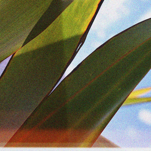 NEW PLYMOUTH photo 2