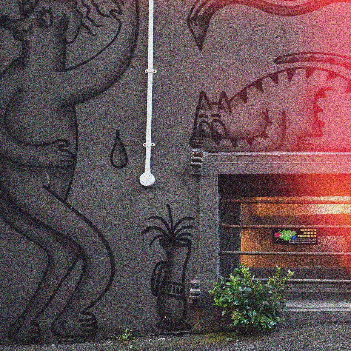 NEW PLYMOUTH photo 3
