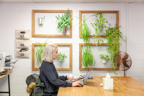 Loom Shared Space photo 2