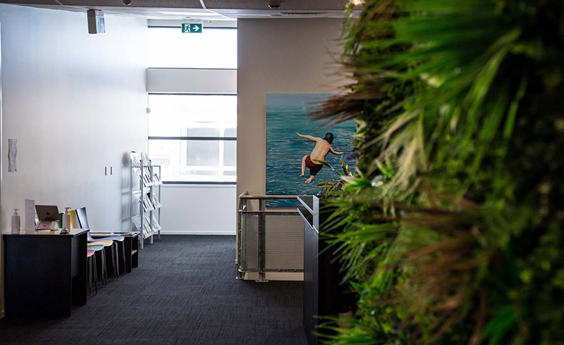 Tauranga photo 5