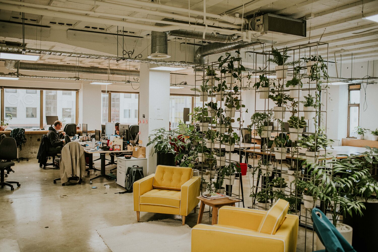 Credenza Co-working photo 6