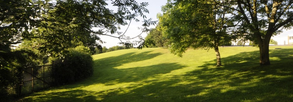 Repton House photo 6