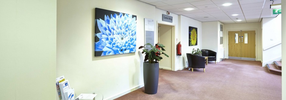 Repton House photo 3