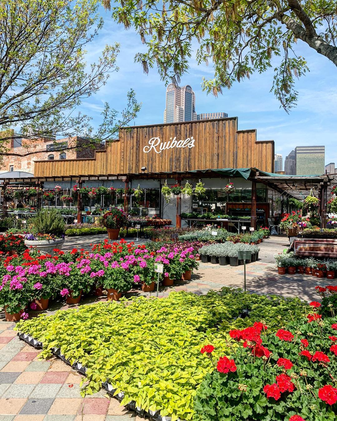 Dallas/Ft Worth photo 8