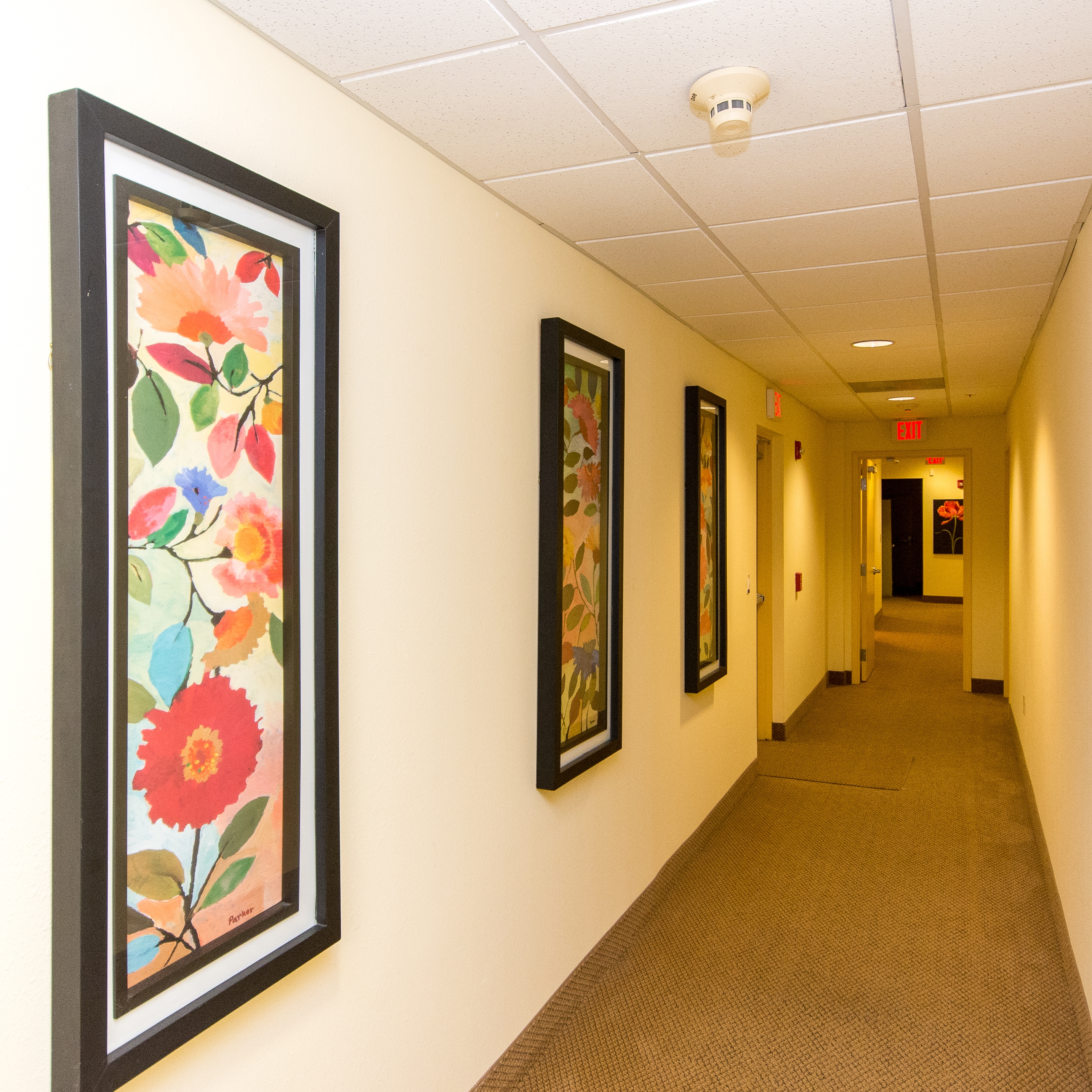 Wilton Manors photo 3