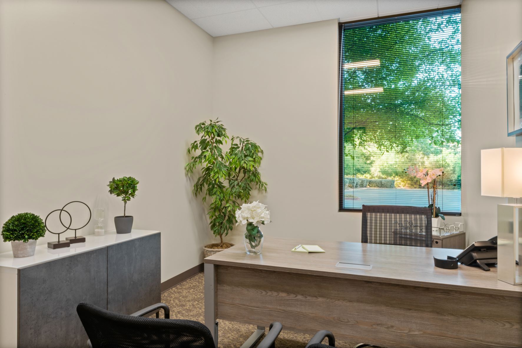 Business Workspaces photo 7
