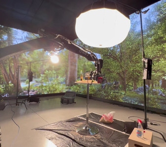 Co-Production House photo 4