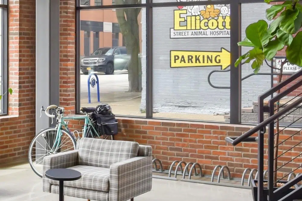 505 Ellicott Street photo 3