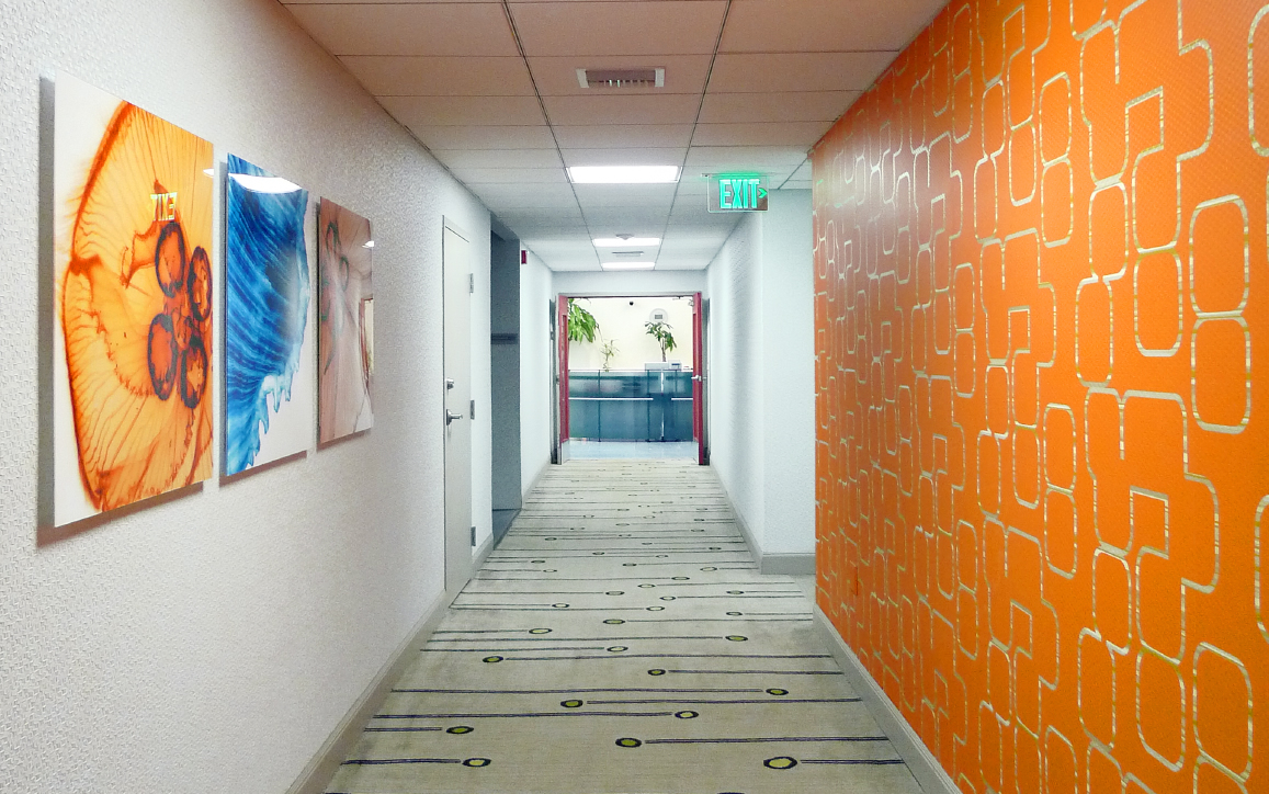 Momentum Business Center photo 12