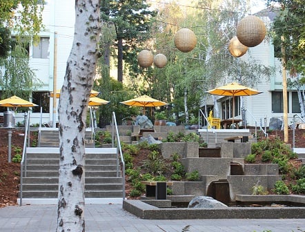 Marin photo 2