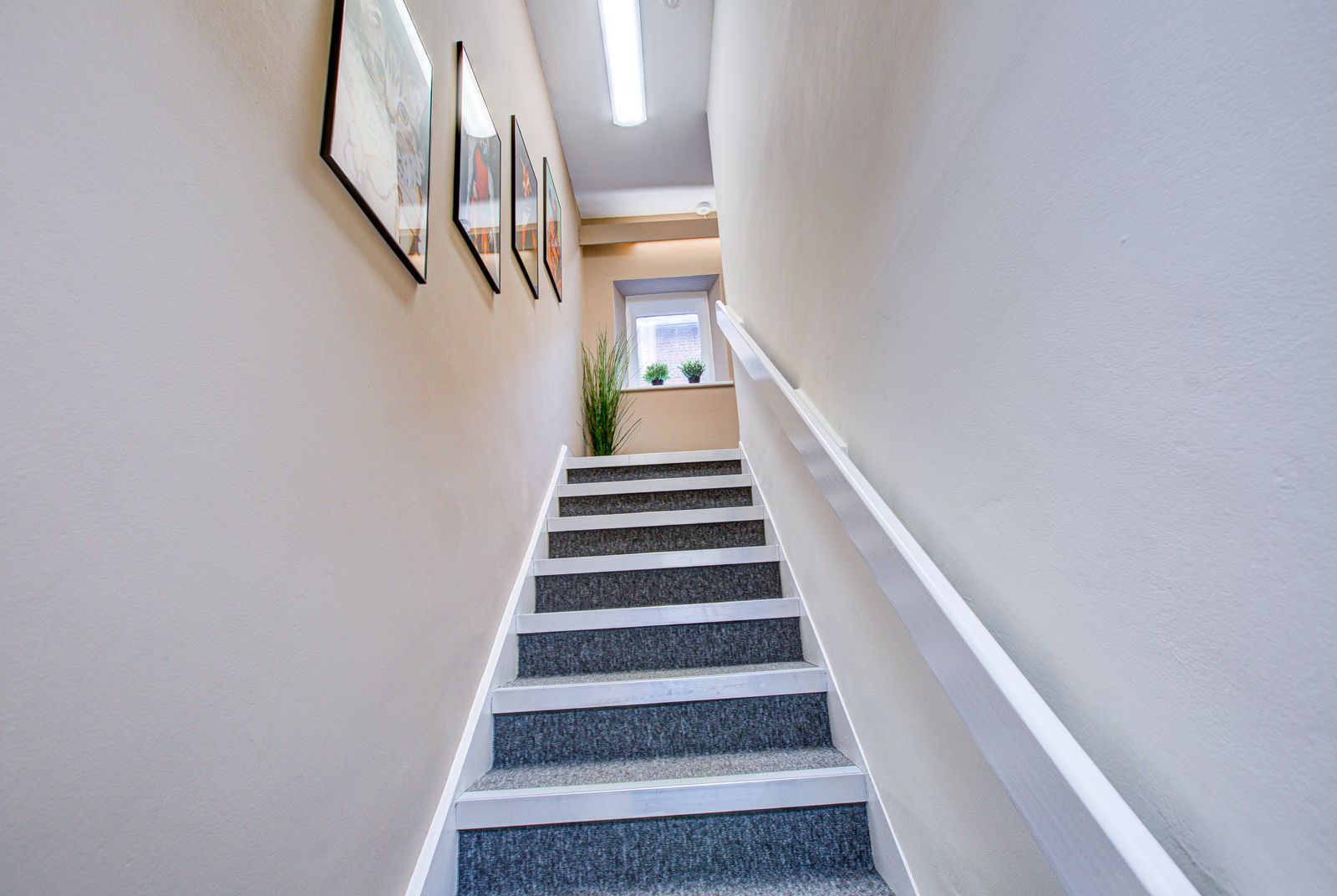 Arquen House photo 9