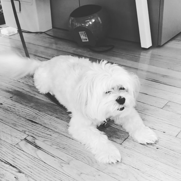 Cowork Waldo photo 7