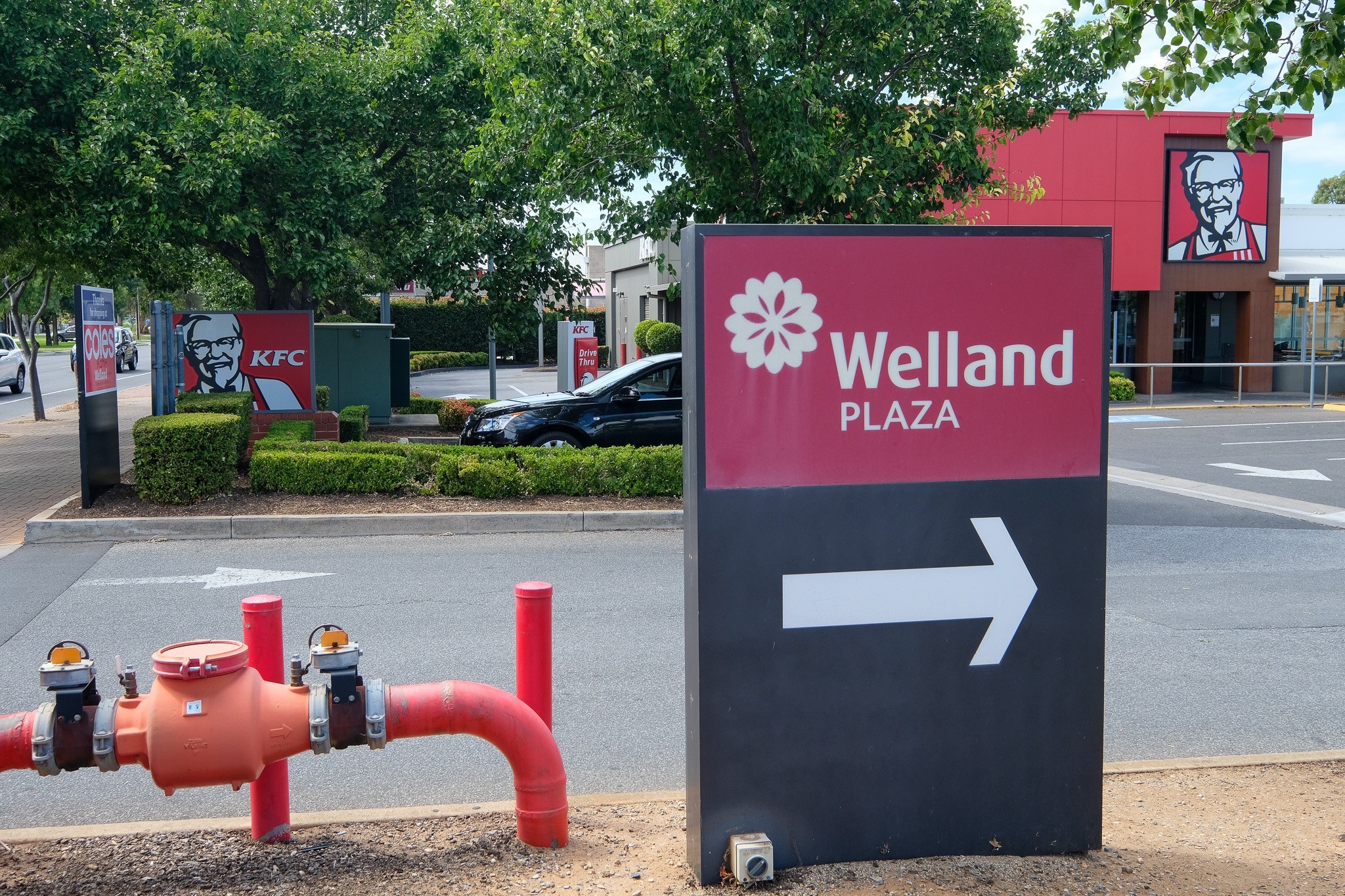 Allenby Gardens photo 6