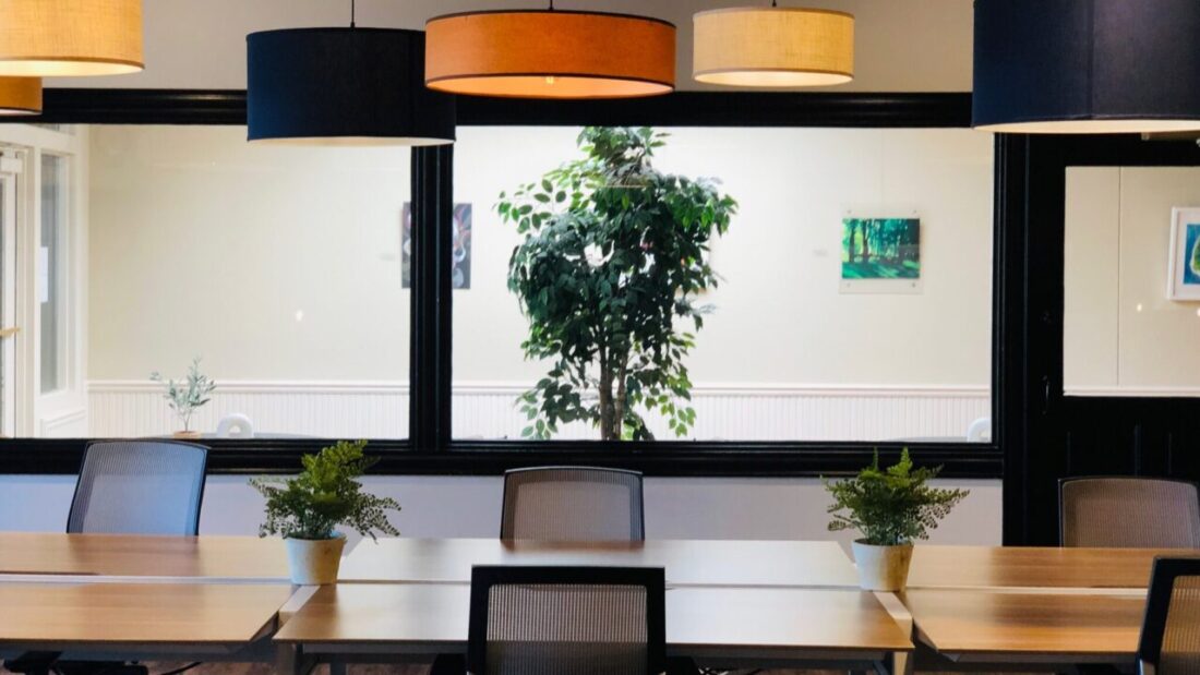 Olio Coworking - Hopkins photo 8