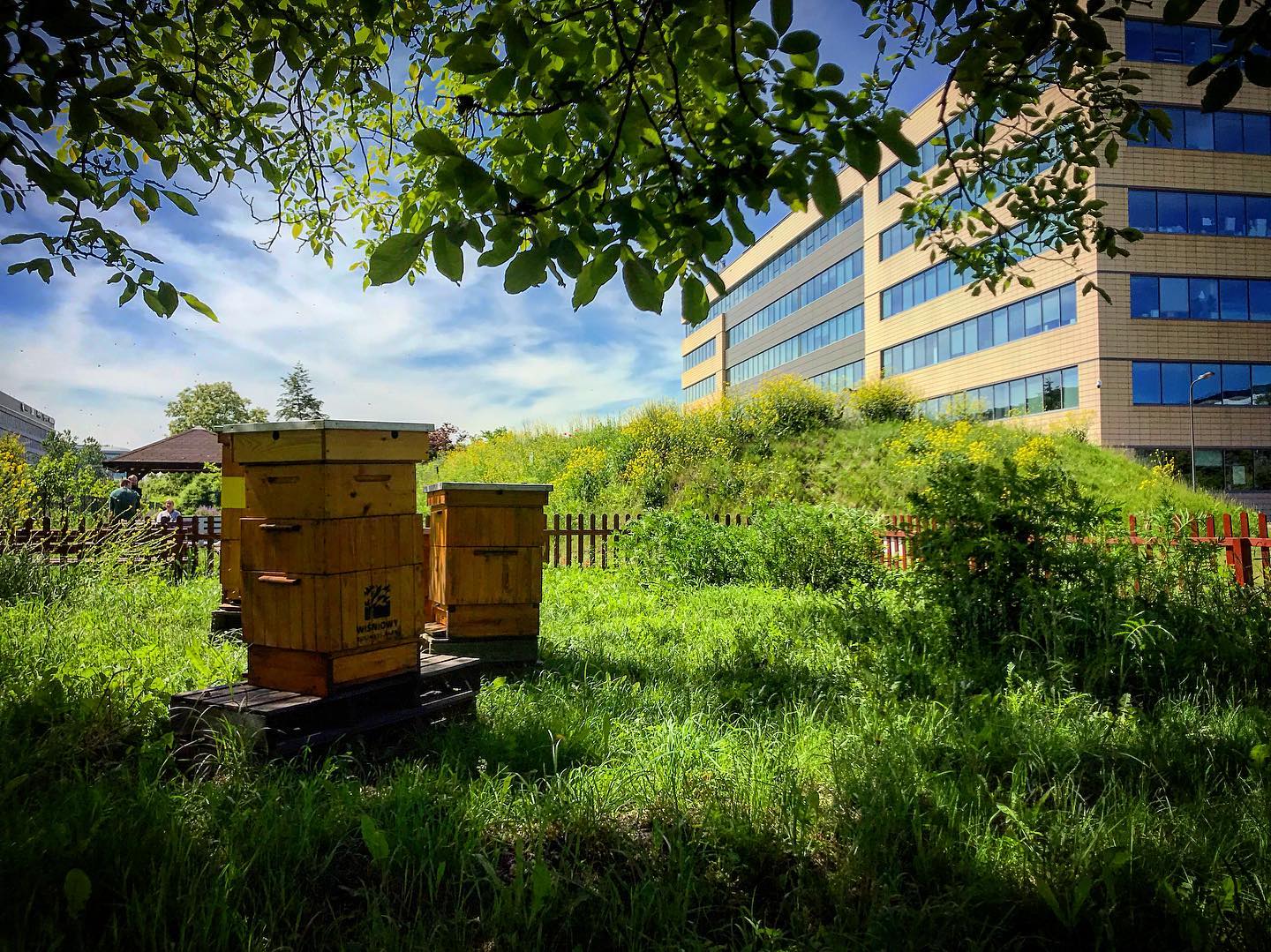 WISNIOWY BUSINESS PARK photo 2