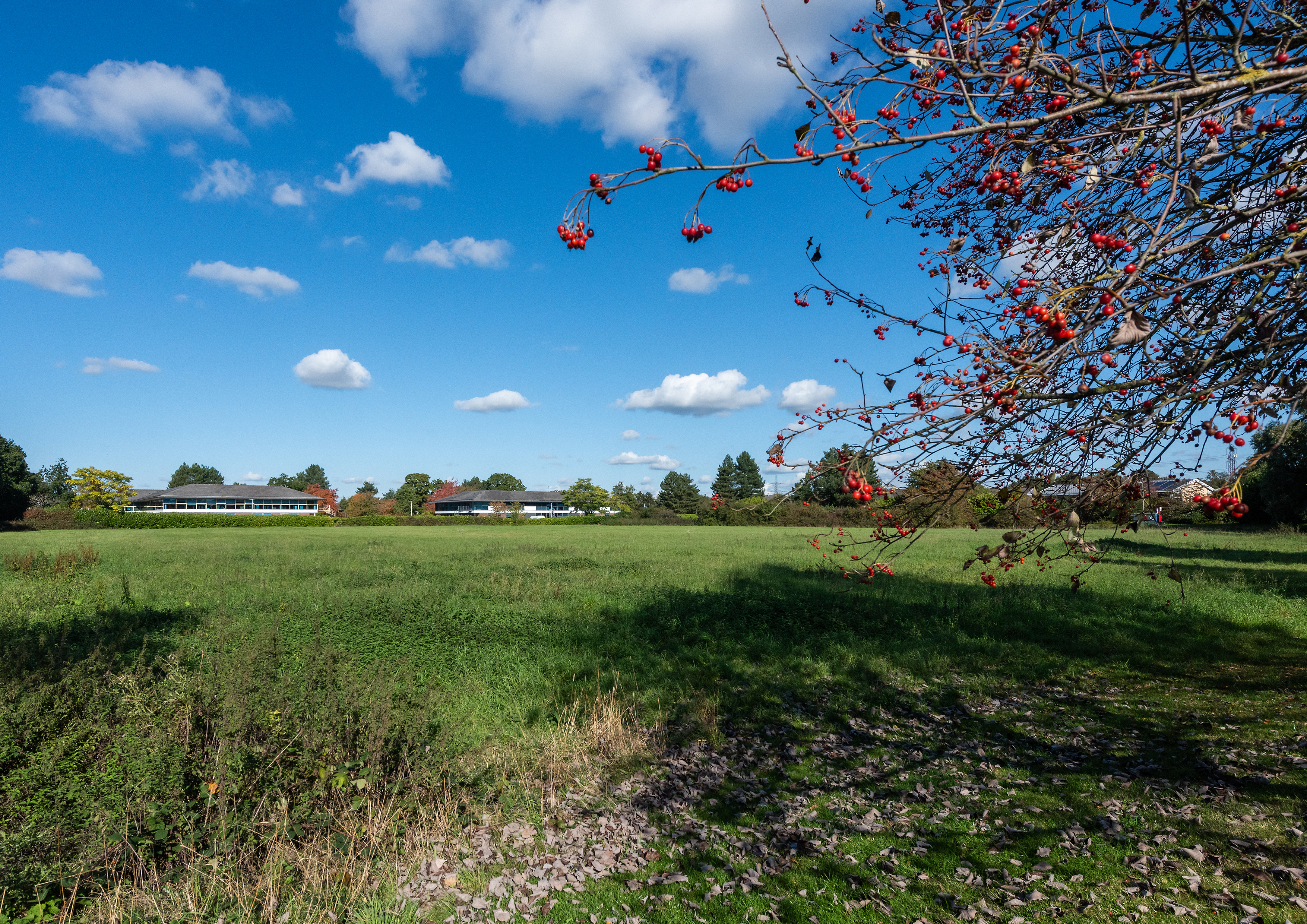 Birmingham Business Park photo 3