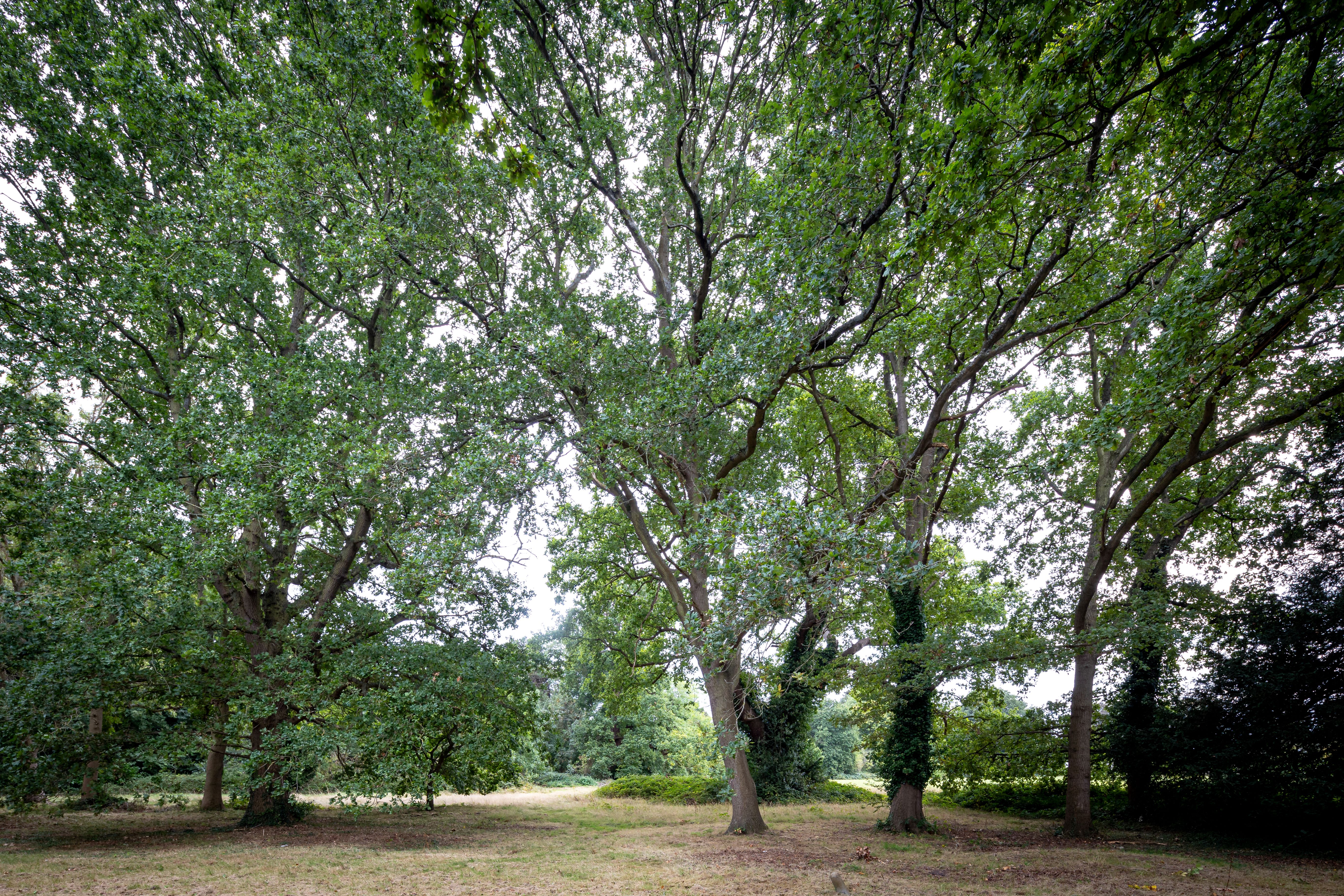 Harrington House photo 8