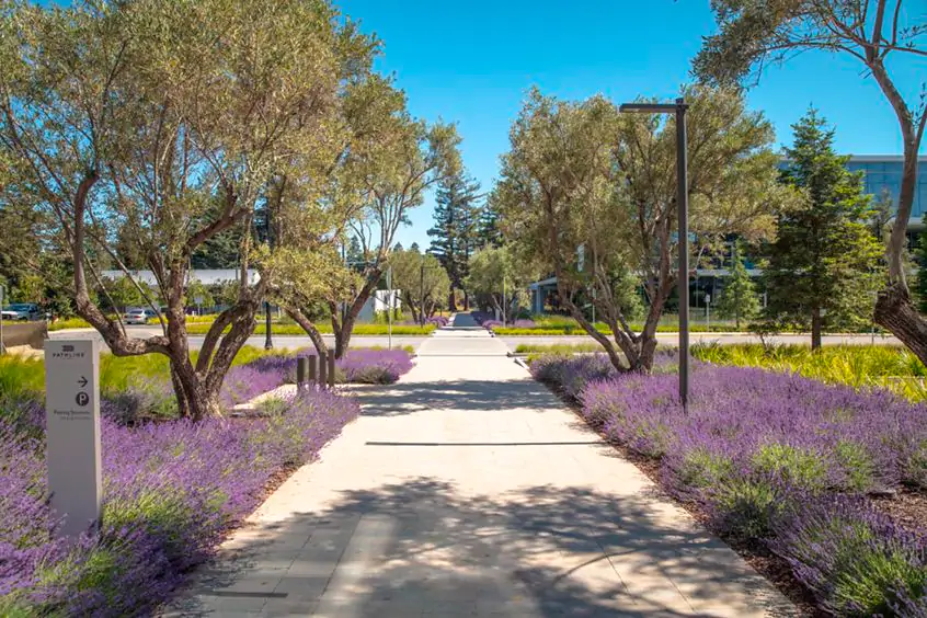 Pathline Park photo 2