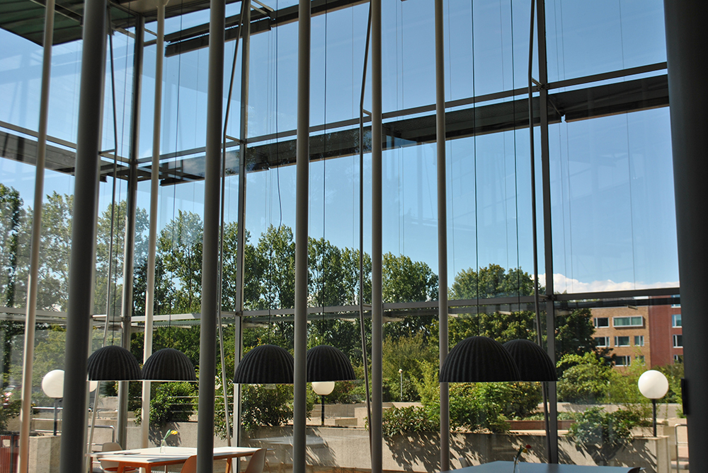 Almere photo 8