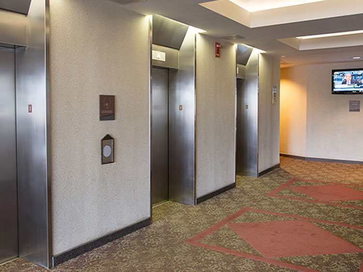Park Plaza photo 6
