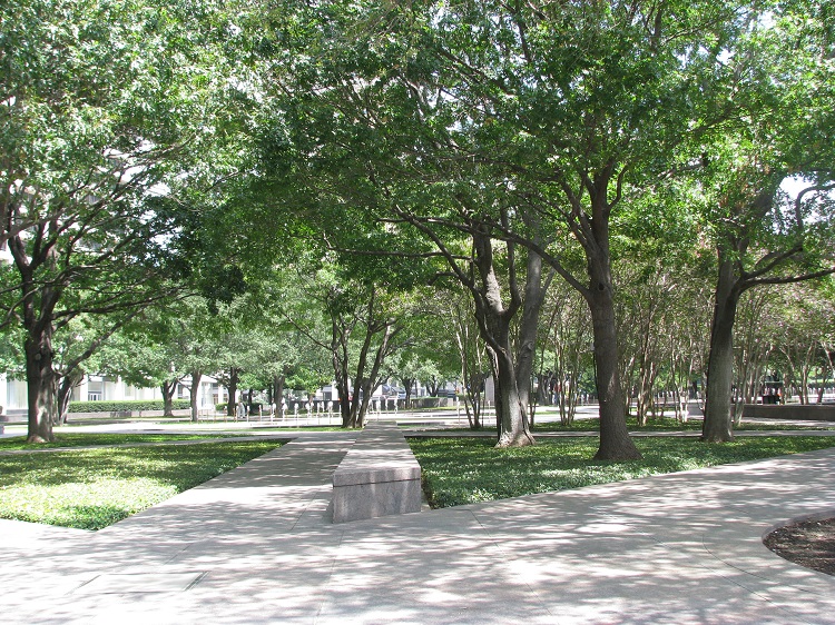 Texas Building photo 5