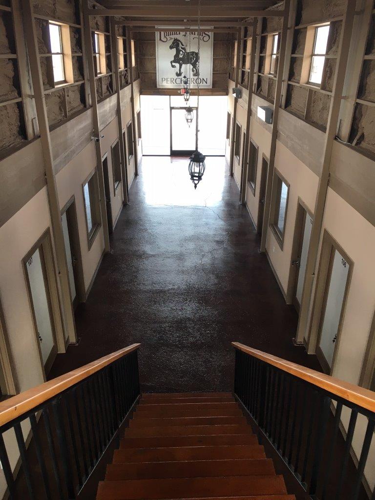 Paddock Place photo 5