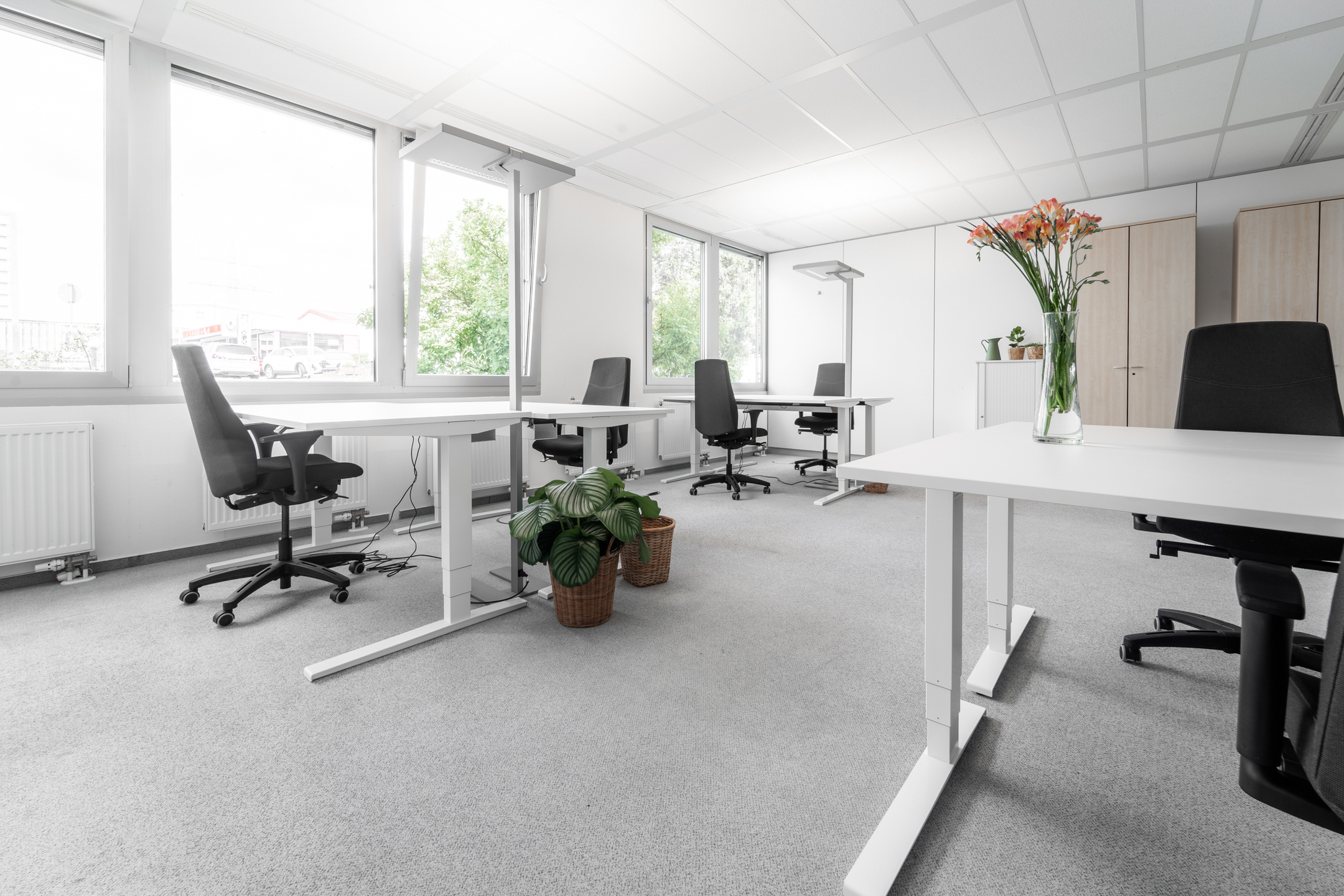 WORK:IN LEIMEN photo 2