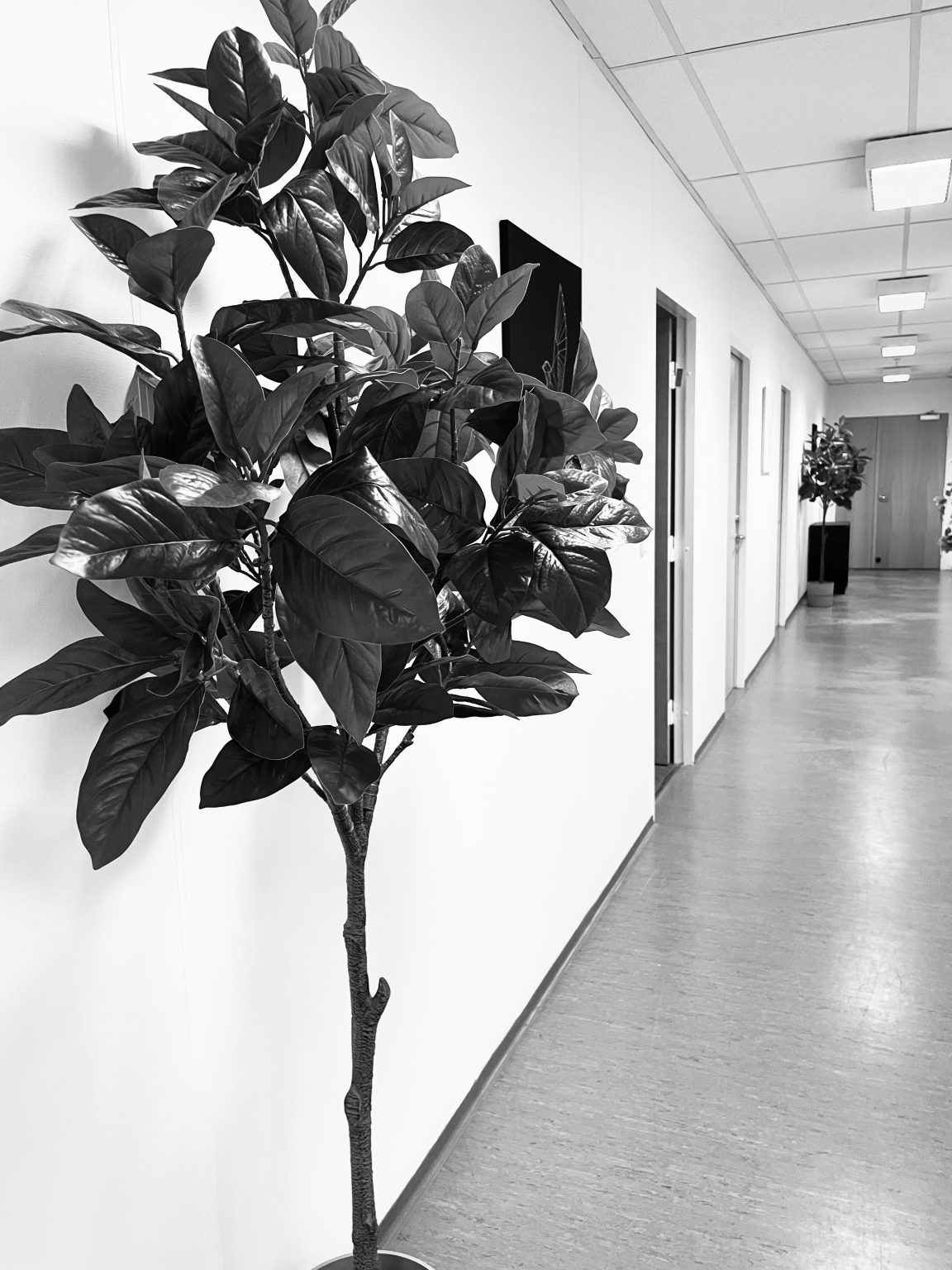 VÆXTHUSET ALBERTSLUND photo 6
