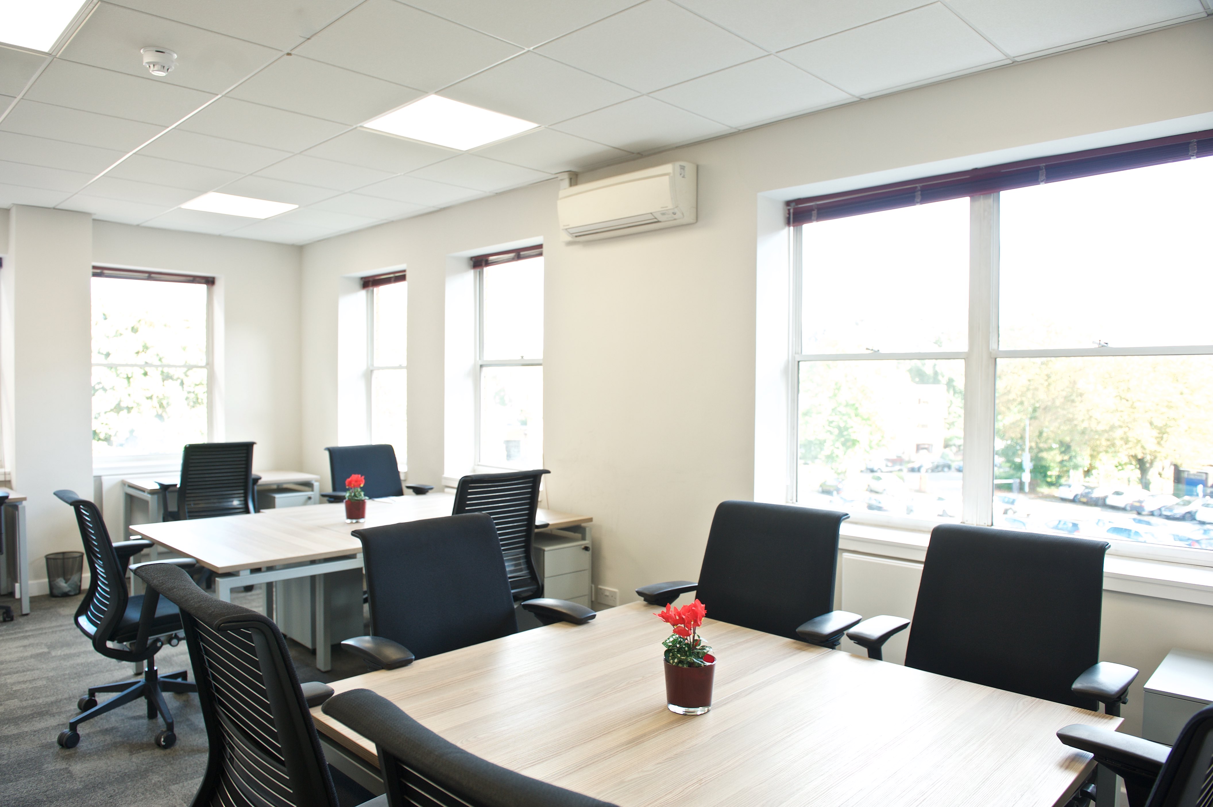 Newman Flexible Workspace photo 2