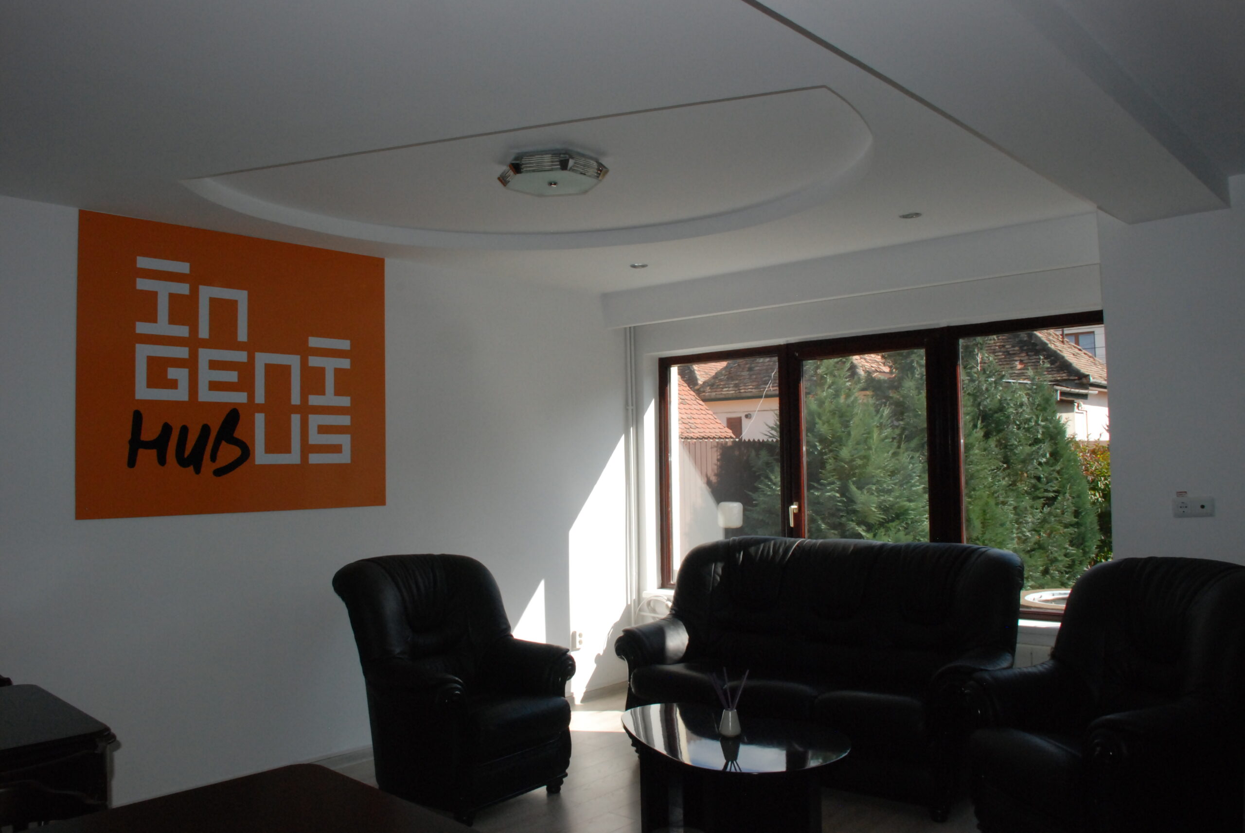 Ingenius Hub Sibiu photo 2