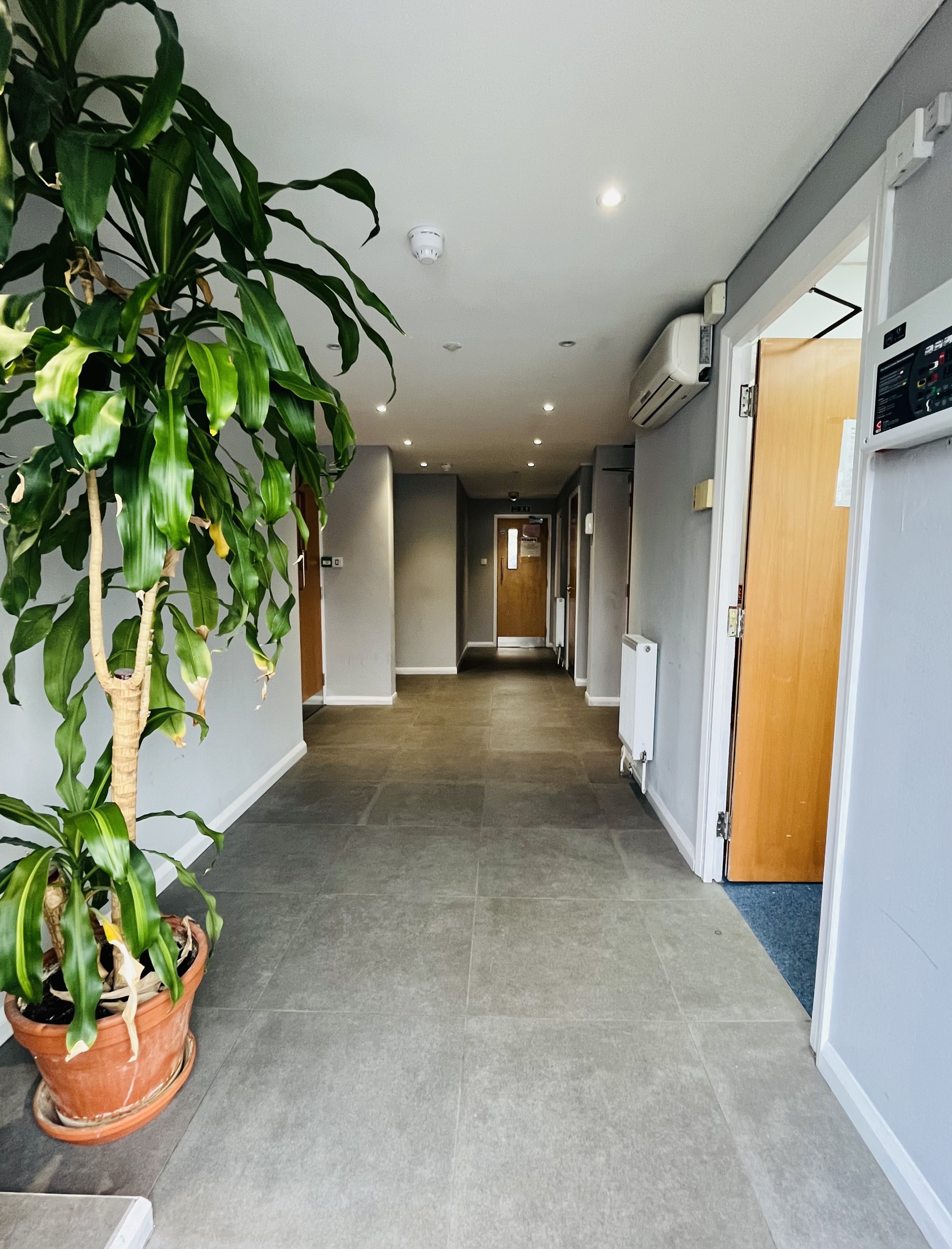 Park House photo 11
