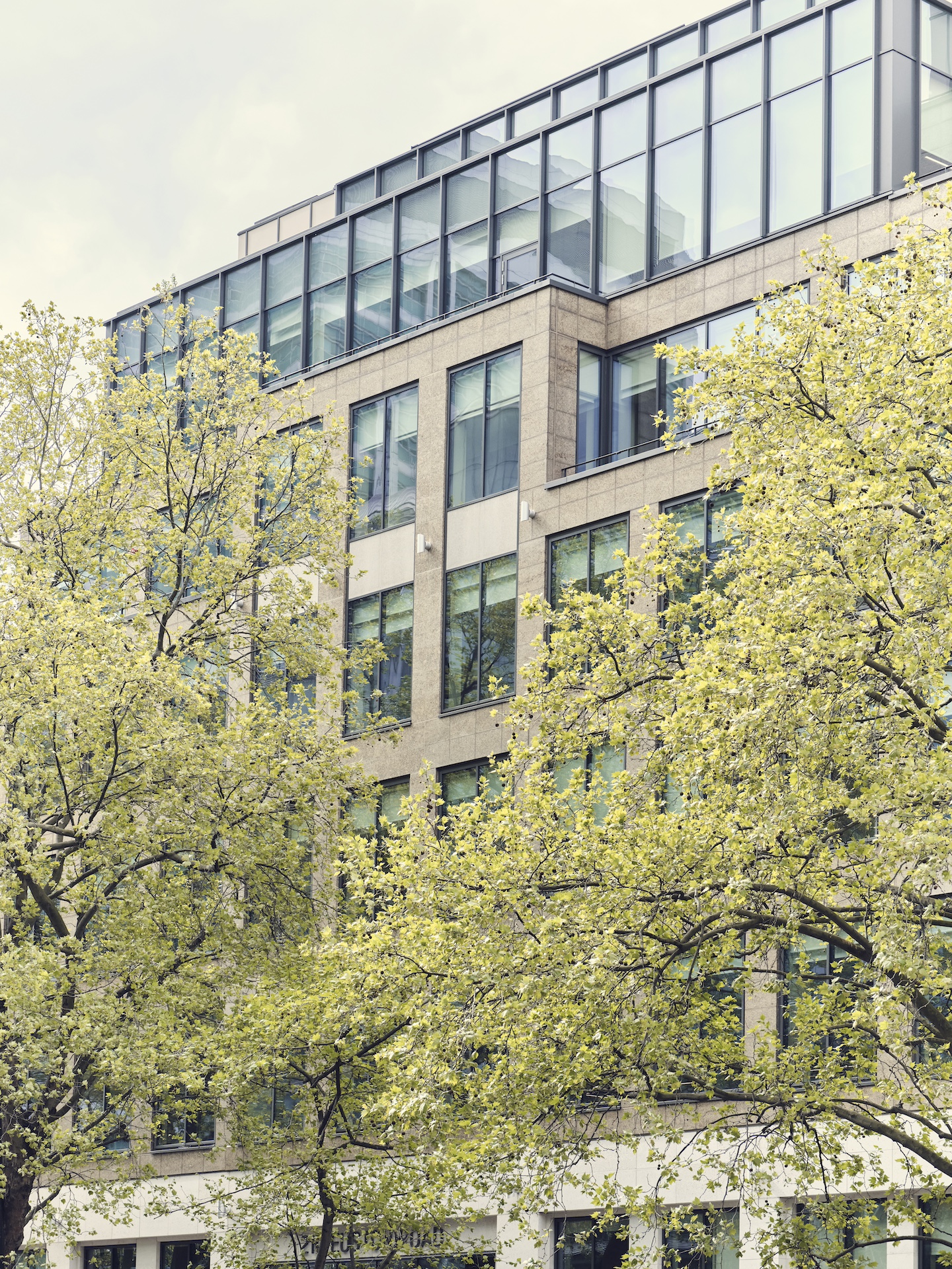 210 Euston Road photo 6