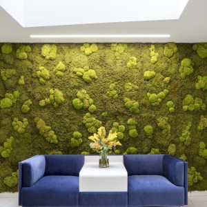 Thanet House photo 5