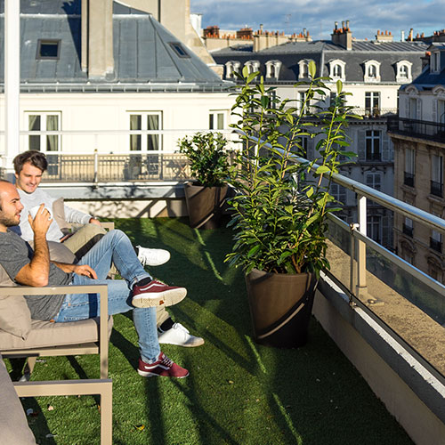 Morning Monceau photo 4