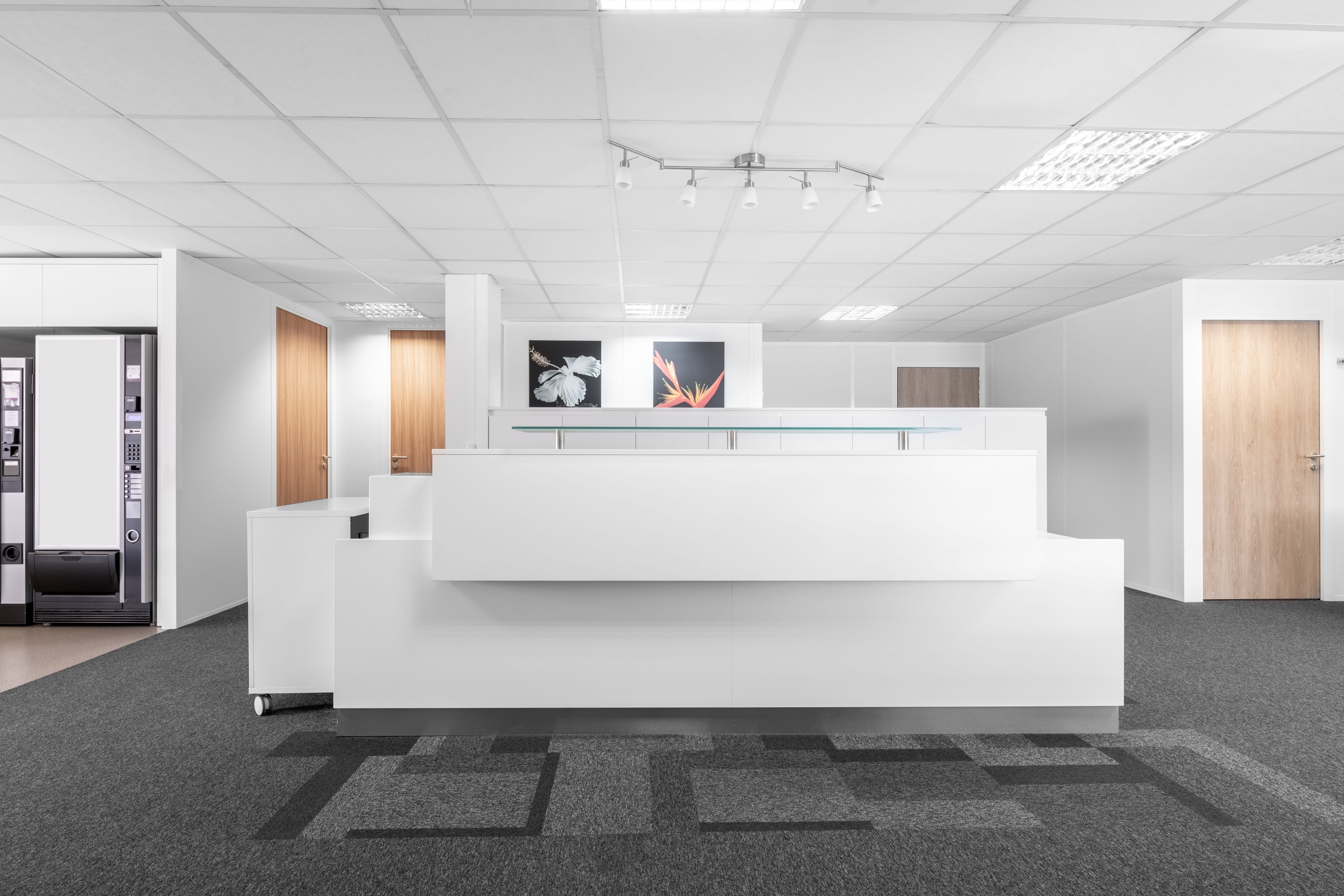 SOPARQ photo 7
