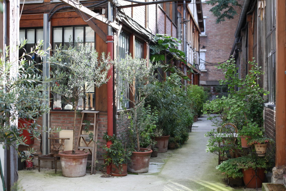 Jourdain photo 6