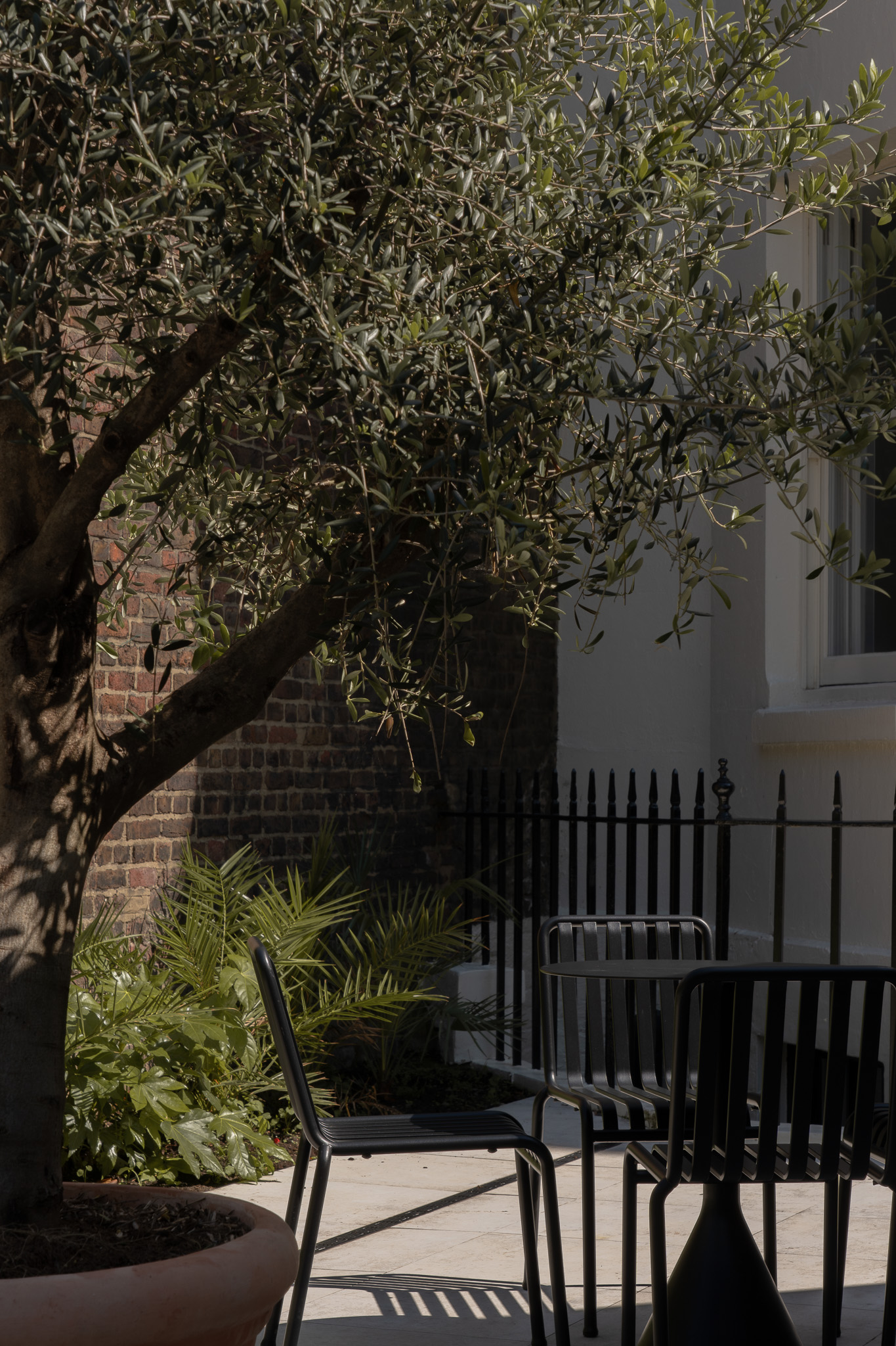 3 Bloomsbury Place photo 5